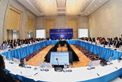 Nhóm công tác về y tế (HWG)