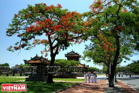 Bản sắc văn hóa ASEAN