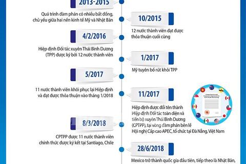 [Infographic] Việt Nam trở thành quốc gia thứ 7 thông qua CPTPP