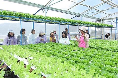 Phát triển chuỗi giá trị nông nghiệp: Doanh nghiệp giữ vai trò chủ đạo