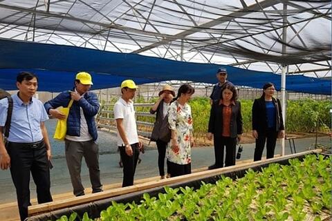 Lãnh đạo tỉnh Sơn La tìm hiểu về sản xuất và phát triển nông nghiệp Israel