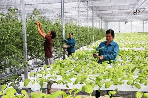 Hà Nội: Tăng tốc thực hiện nông thôn mới