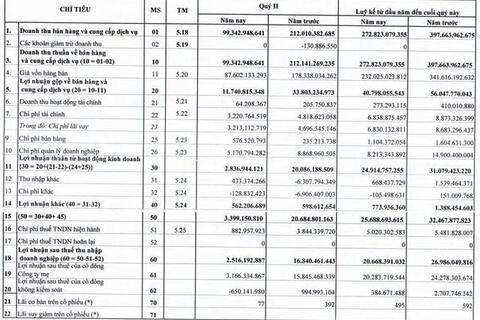 Khoáng sản FECON (FCM): Quý 2 báo lãi sụt giảm mạnh 85% so với cùng kỳ