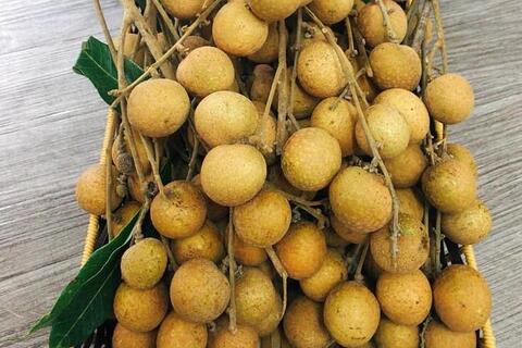 Hoa quả Việt Nam xuất khẩu trở lại sang Mỹ