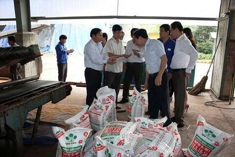 Phân bón Lâm Thao làm vững tâm nông dân đất Tổ