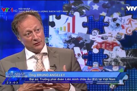 Hợp tác phát triển năng lượng tái tạo Việt Nam - EU