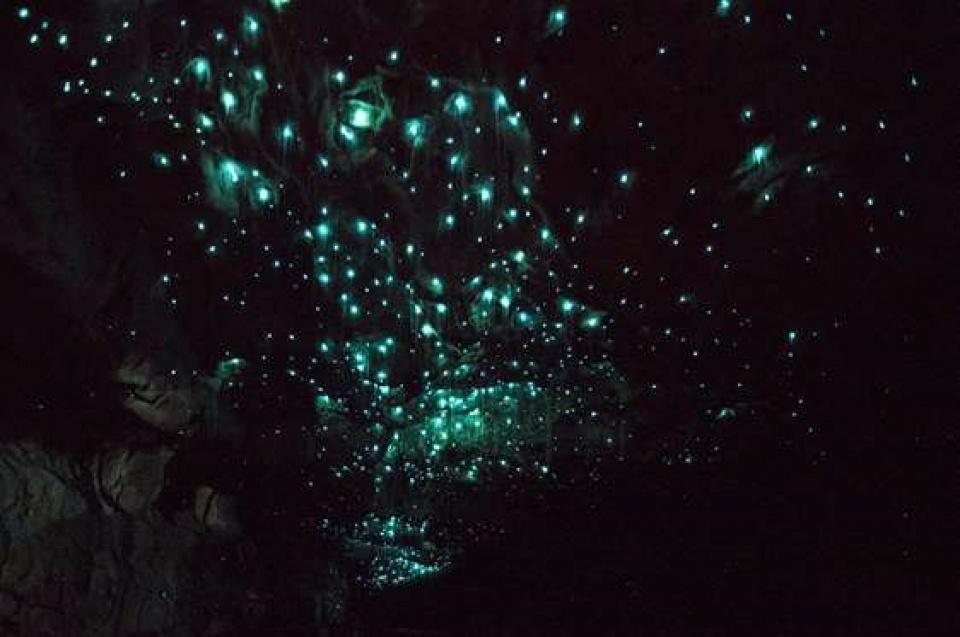 Sơn Đoòng lọt tốp 16 hang động đẹp và kỳ vĩ nhất thế giới son doong lot top 16 hang dong dep va ky vi nhat the gioi