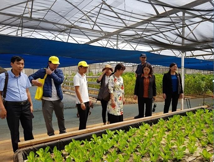 Lãnh đạo tỉnh Sơn La tìm hiểu về sản xuất và phát triển nông nghiệp Israel thuong vu tai israel tham gia doan cong tac cua lanh dao tinh son la